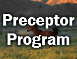 Preceptor Program